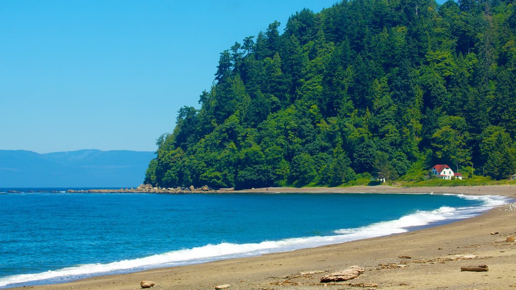 Clallam Bay mostrando uma praia e florestas