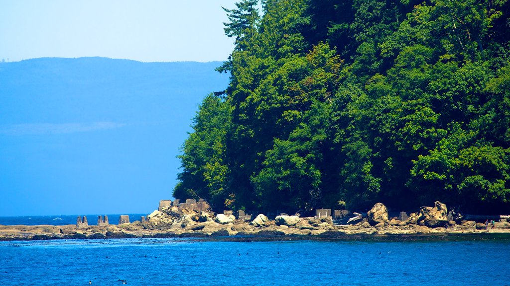 Clallam Bay which includes general coastal views