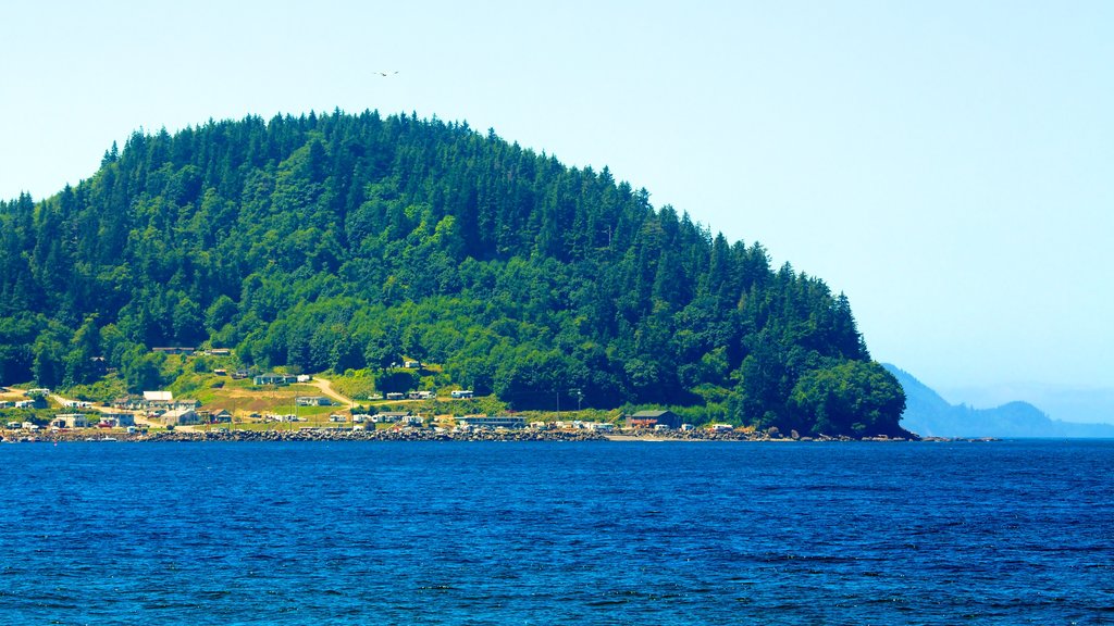 Bahía Clallam mostrando bosques, vista panorámica y una ciudad costera