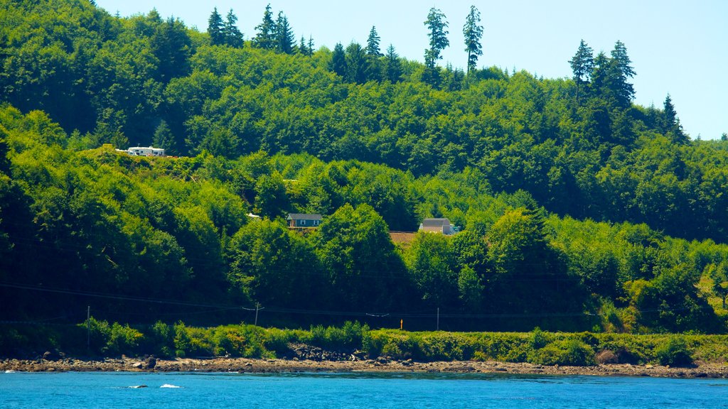 Bahía Clallam que incluye una bahía o un puerto, bosques y vista panorámica