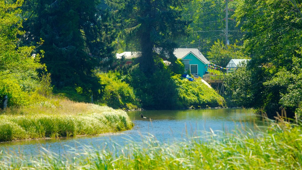 Bahía Clallam ofreciendo una pequeña ciudad o pueblo y un río o arroyo