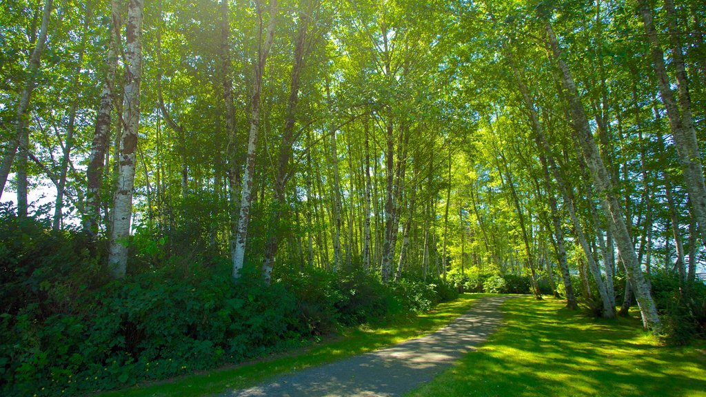 Clallam Bay showing a garden