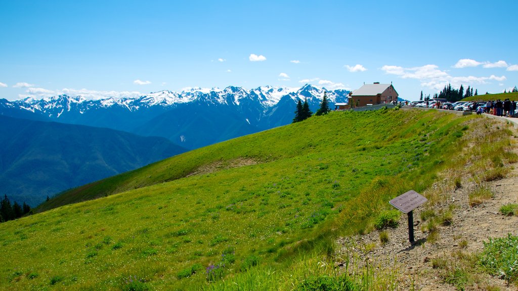 Hurricane Ridge Visitors Center showing landscape views and mountains