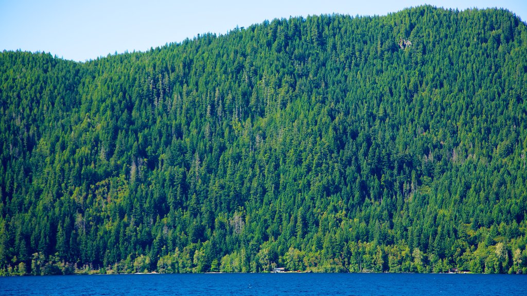 Olympic National Park caracterizando montanhas, paisagem e um lago ou charco