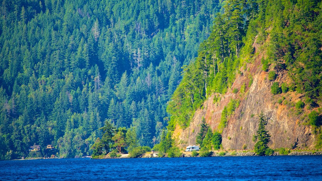 Parque Nacional Olympic mostrando un lago o abrevadero y escenas forestales