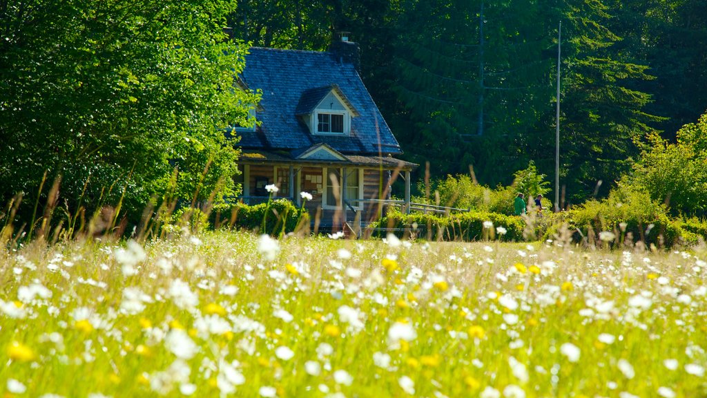 Washington que incluye flores silvestres, escenas tranquilas y una casa