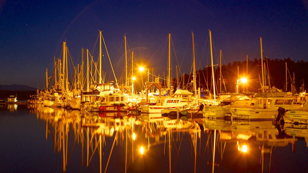 San Juan Island showing night scenes, a marina and boating