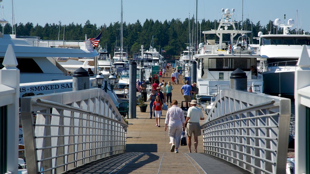 San Juan Island que incluye paseos en lancha y una marina y también un pequeño grupo de personas