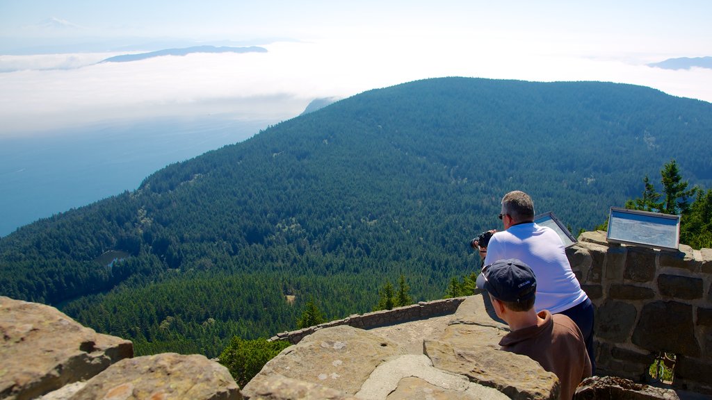 Orcas Island showing forests, landscape views and views