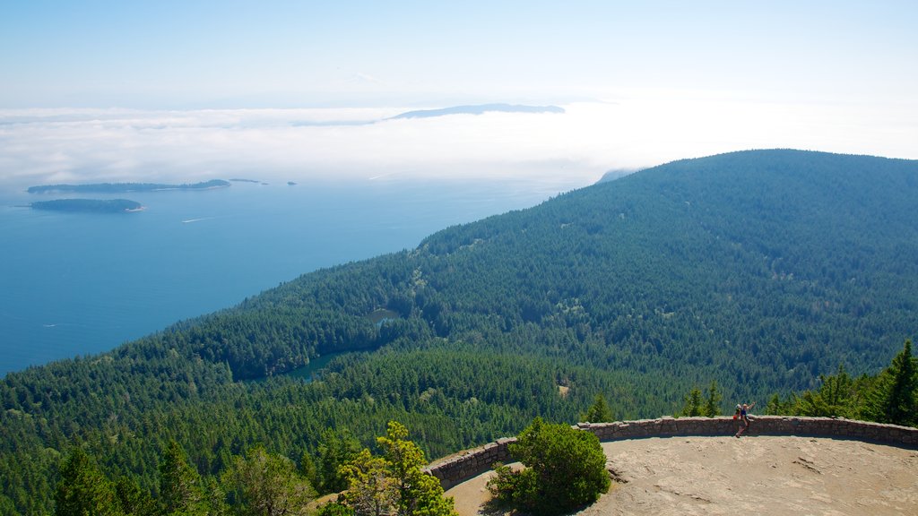 Isla Orcas que incluye vista panorámica, vista y bosques