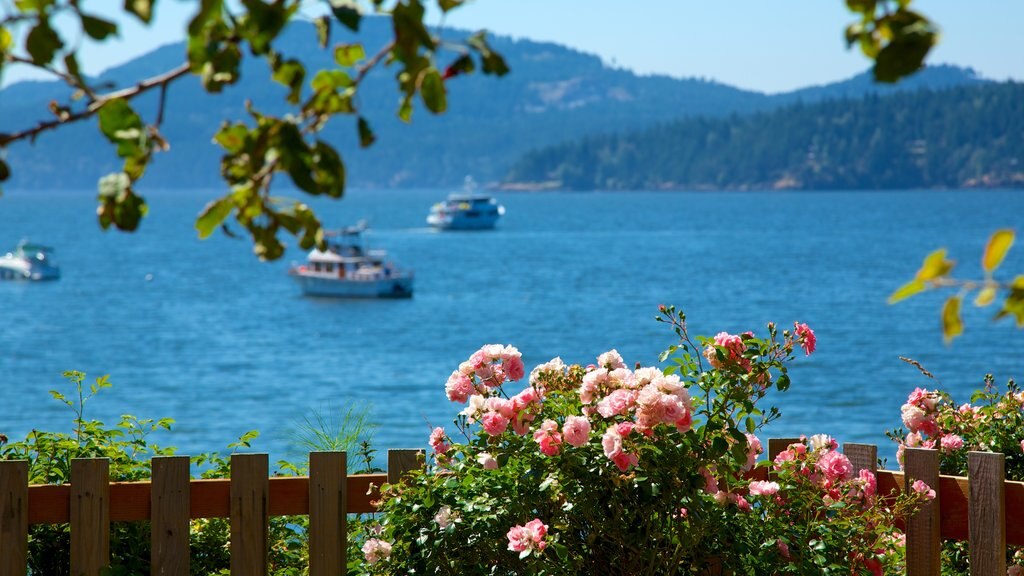 Isla Orcas ofreciendo vista panorámica, vista general a la costa y flores