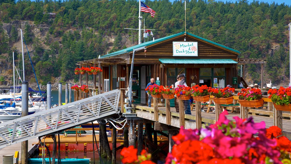 Deer Harbor showing a coastal town, flowers and a marina