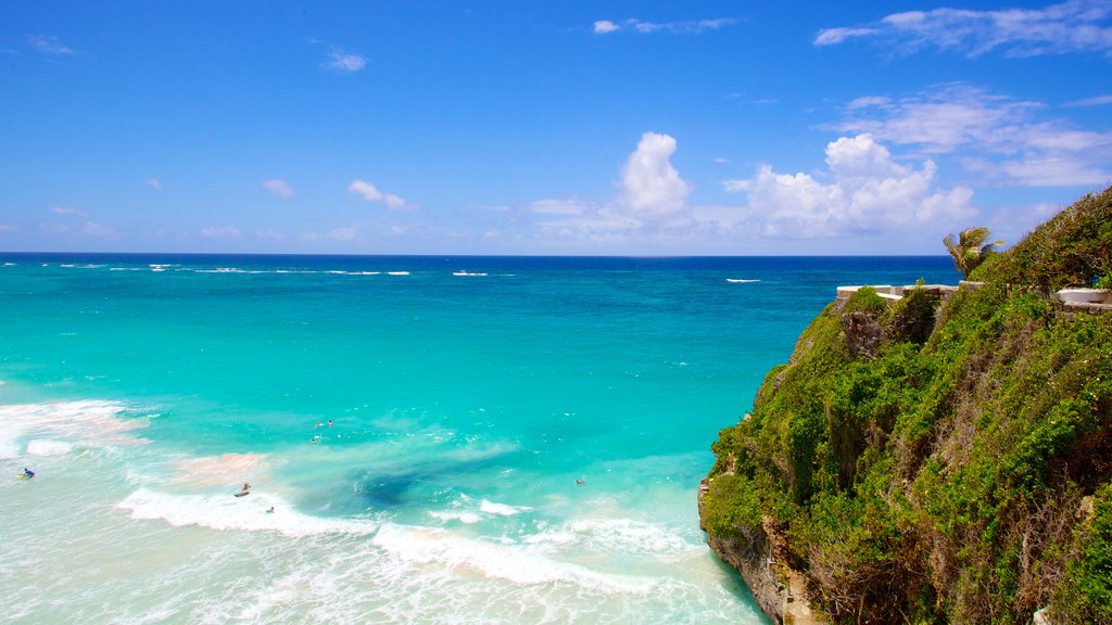 Crane Beach which includes landscape views, rugged coastline and tropical scenes