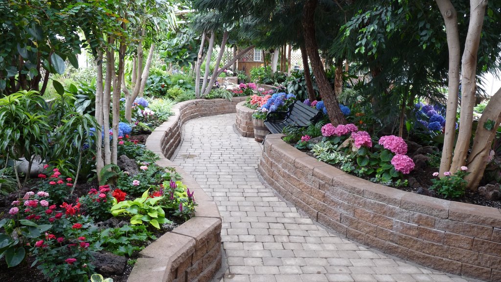 Regina Floral Conservatory showing a park and wild flowers