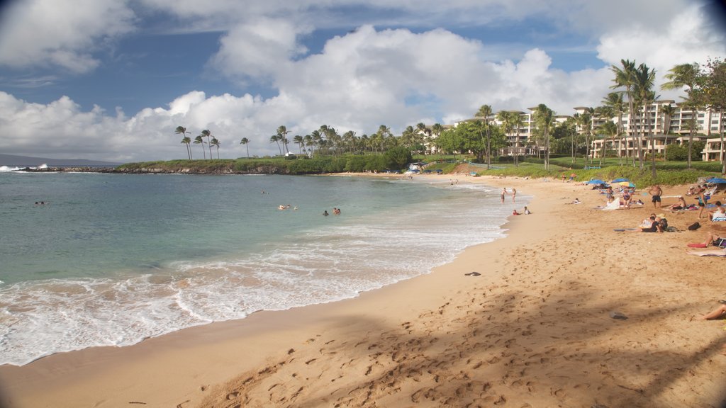 Kapalua Beach which includes a sandy beach and general coastal views