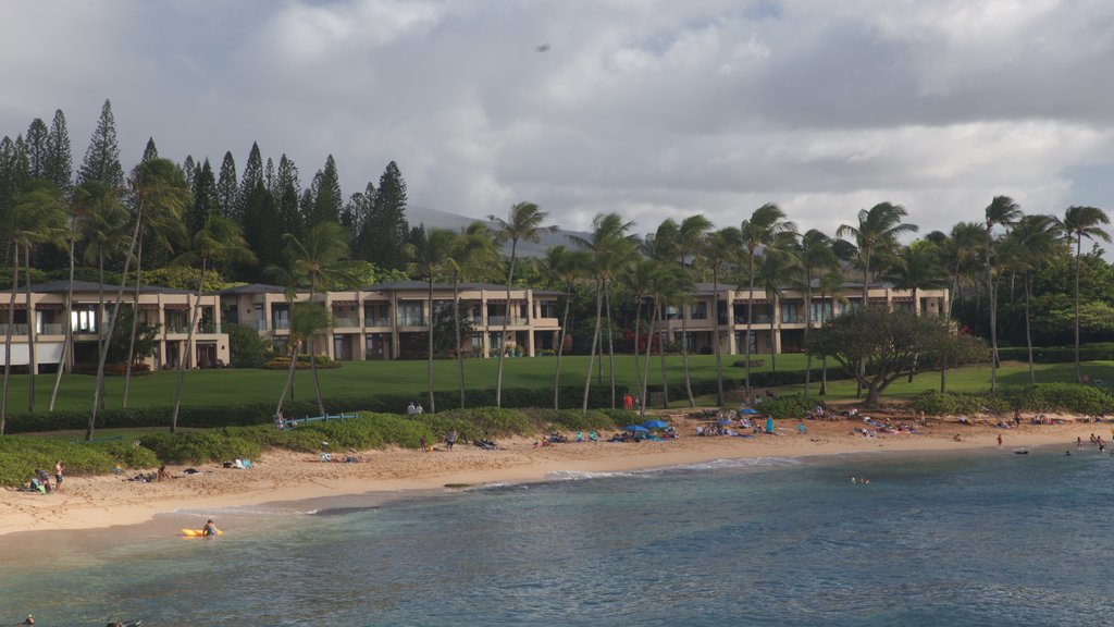 Kapalua que inclui uma praia de areia e paisagens litorâneas