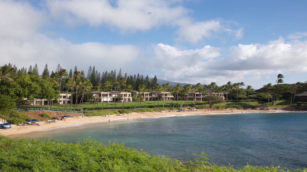 Kapalua Beach featuring general coastal views