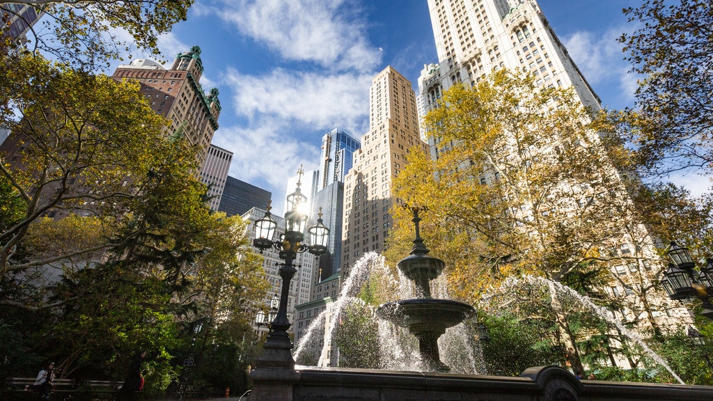 City Hall Park showing a city and a fountain