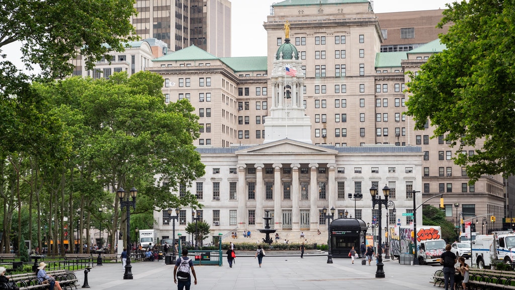 Brooklyn Borough Hall presenterar en stad, en administrativ byggnad och historisk arkitektur