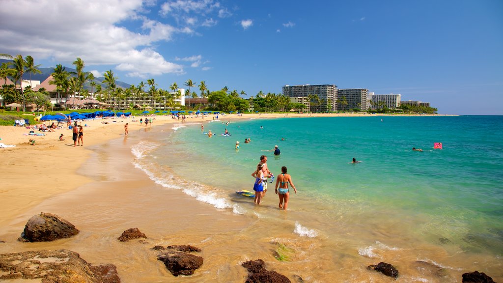 Maui montrant une plage de sable, paysages côtiers et nage