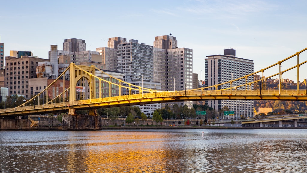 Roberto Clemente Bridge featuring a bridge, a city and a river or creek