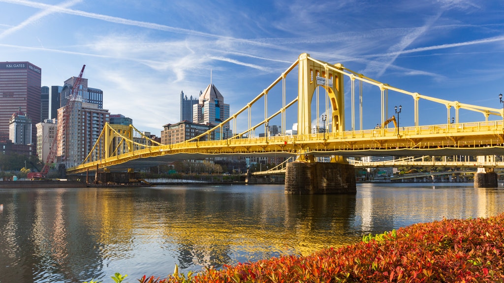 Roberto Clemente Bridge showing a river or creek, a city and a bridge