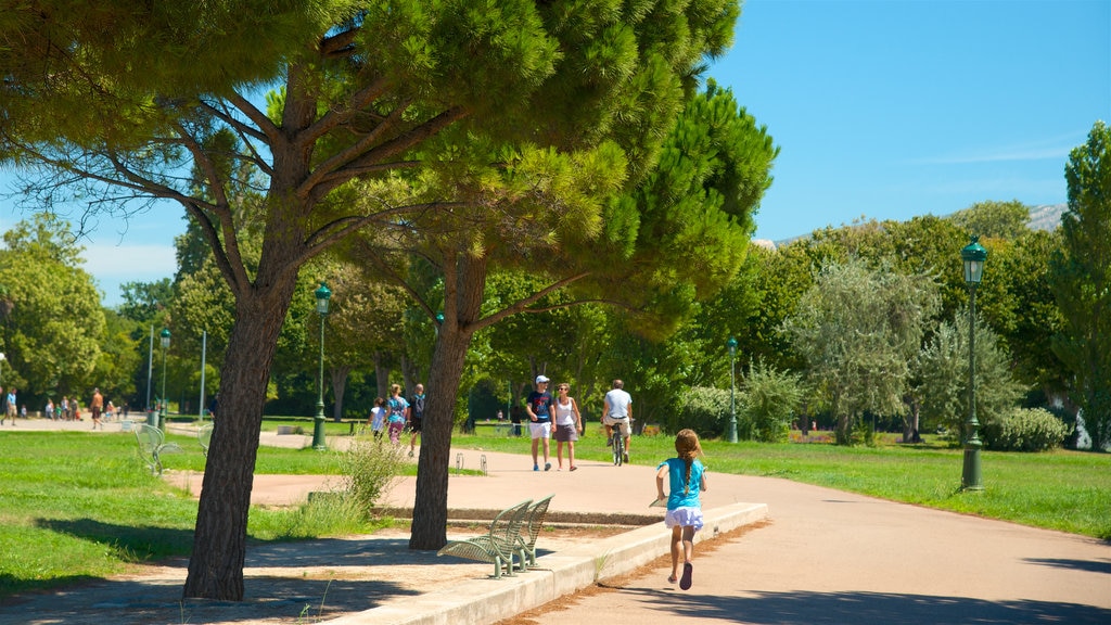 8th Arrondissement showing a garden