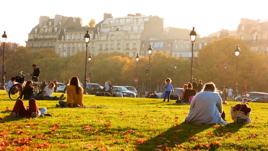 VII Distrito que incluye un atardecer, picnic y hojas de otoño