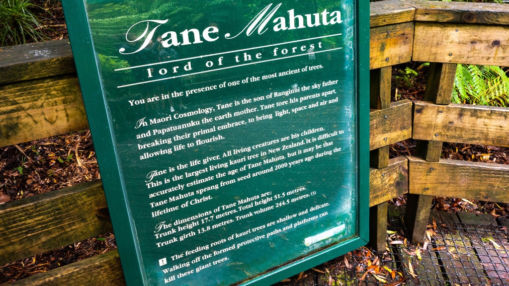 Tane Mahuta