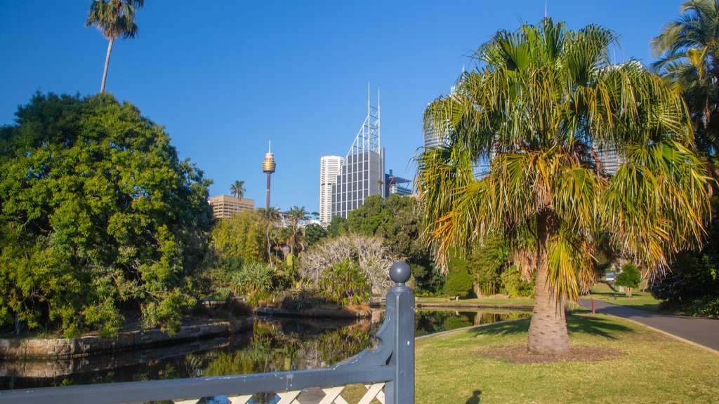 Royal Botanic Gardens showing a garden and a pond