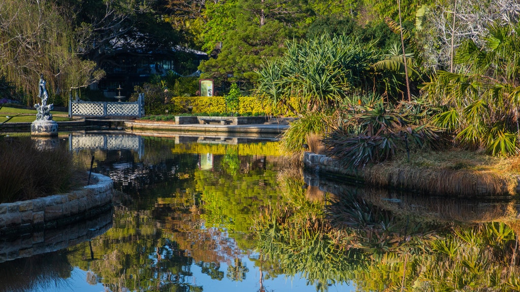 Real Jardín Botánico ofreciendo un estanque