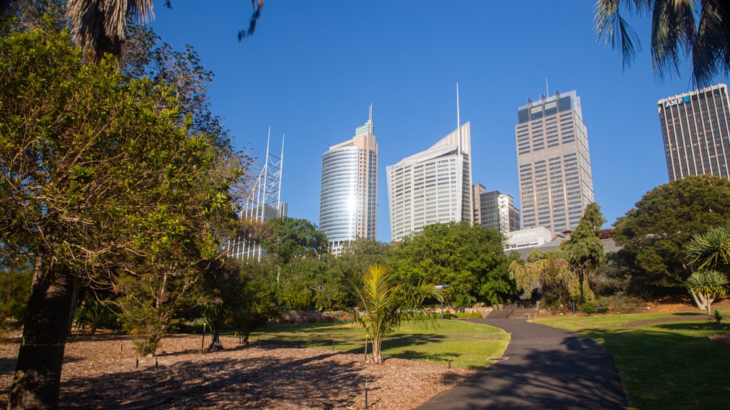 Royal Botanic Gardens mostrando uma cidade e um jardim