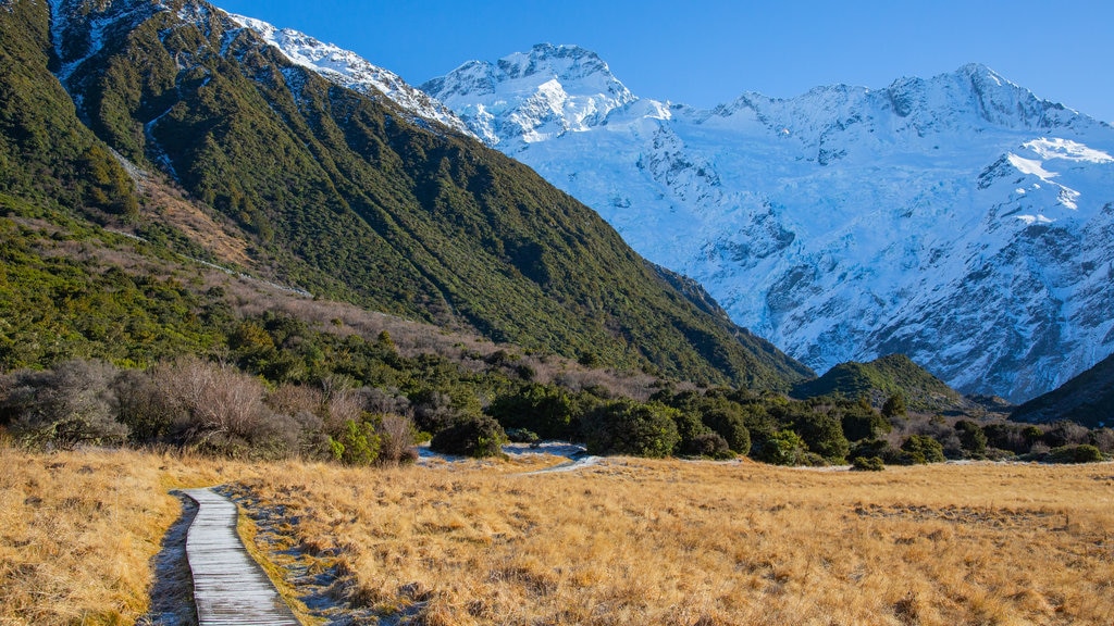 Isla del Sur mostrando nieve, escenas tranquilas y montañas