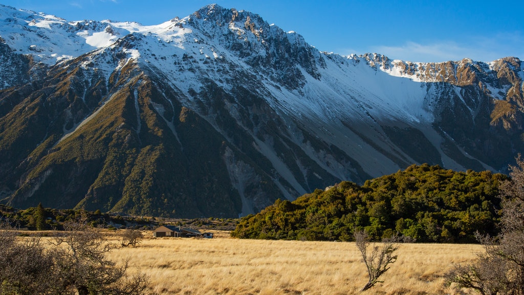 Parque Nacional Monte Cook que inclui montanhas, cenas tranquilas e neve