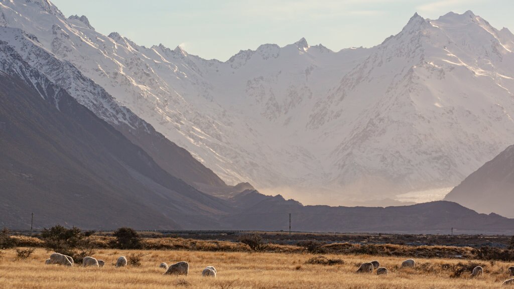 Mount Cook National Park