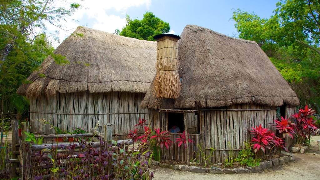 Cozumel mostrando una pequeña ciudad o pueblo y escenas tropicales