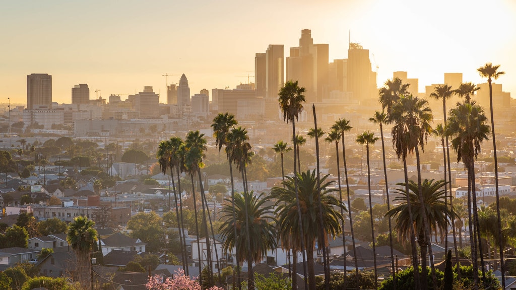 Los Angeles showing landscape views, a city and a sunset