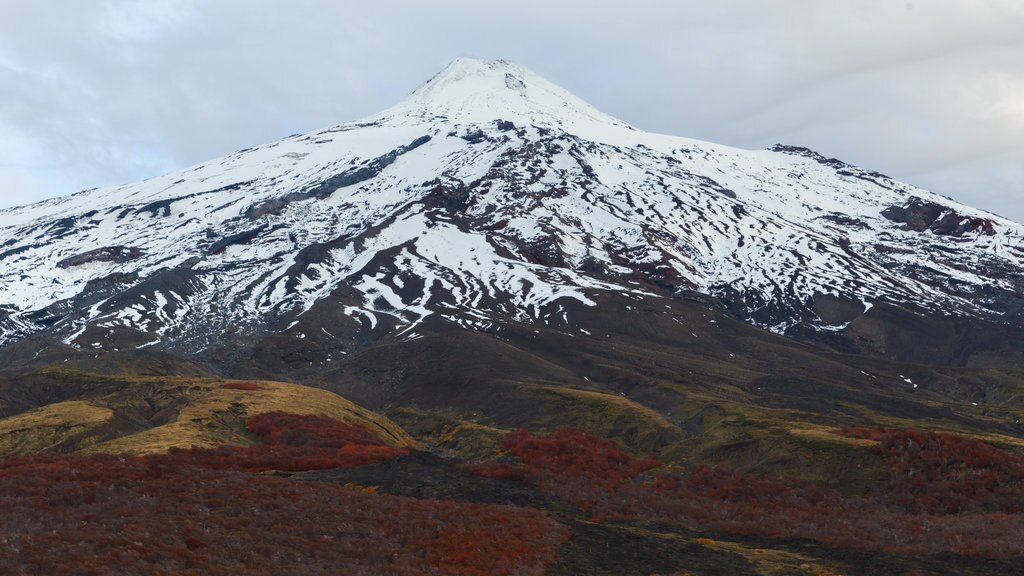 Villarrica Nationalpark som omfatter bjerge og sne