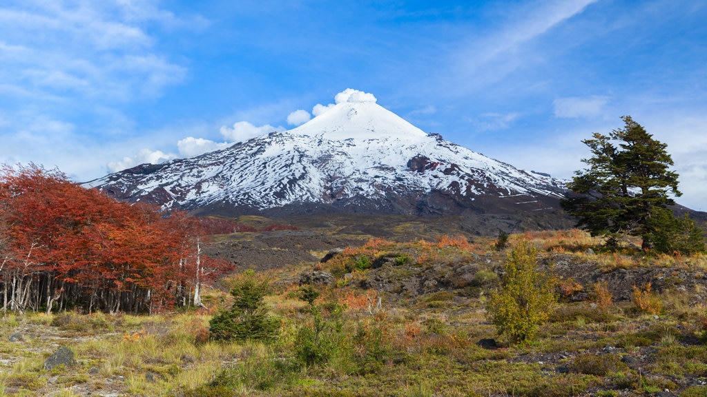 Villarrica National Park which includes snow, tranquil scenes and mountains