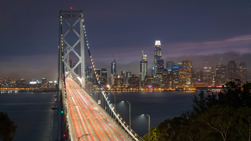 Bay Bridge showing a bridge, a bay or harbour and night scenes