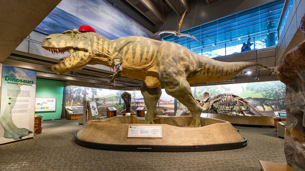 Museum of Science showing interior views