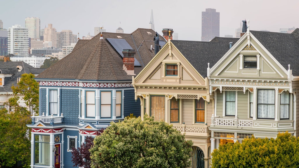 Painted Ladies showing a house