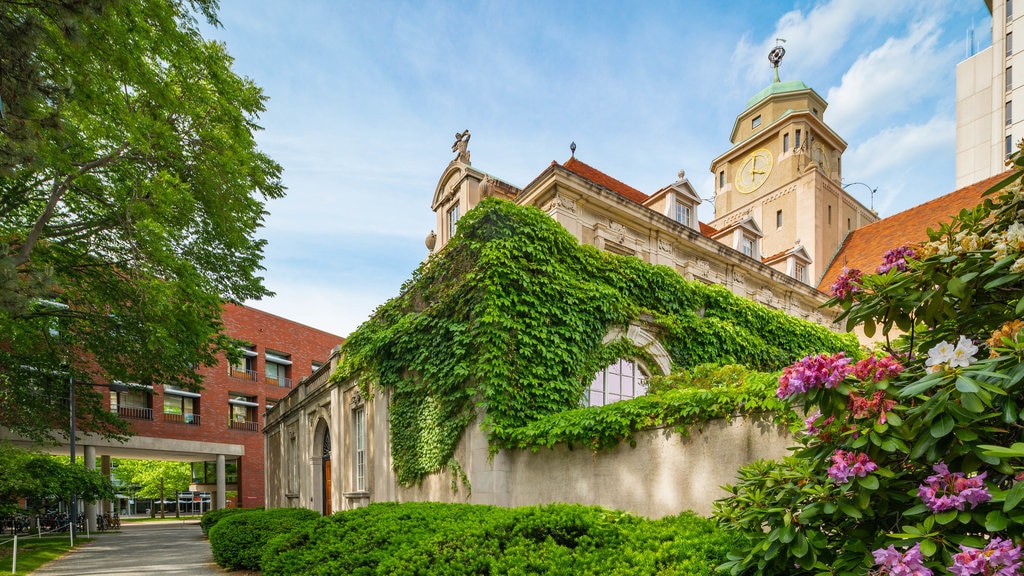 Cambridge che include chiesa o cattedrale e architettura d\'epoca