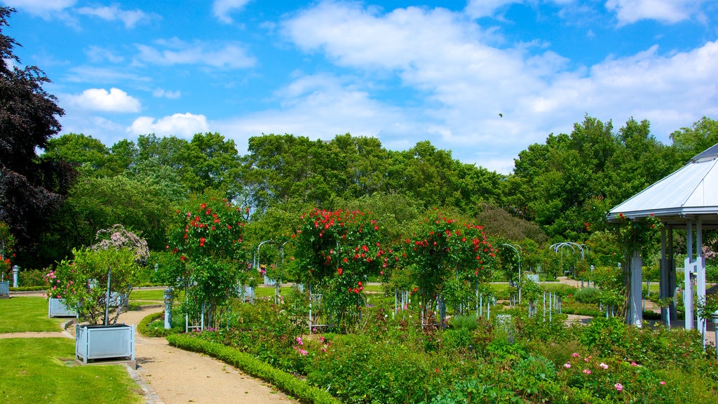 Botanical Gardens which includes a park and wildflowers