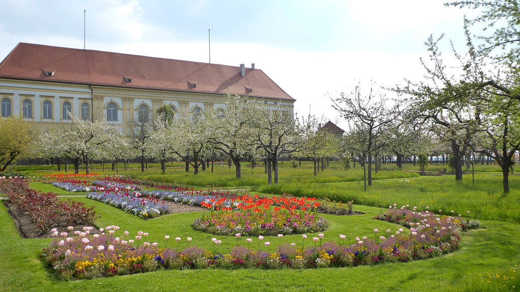 München toont bloemen en een park