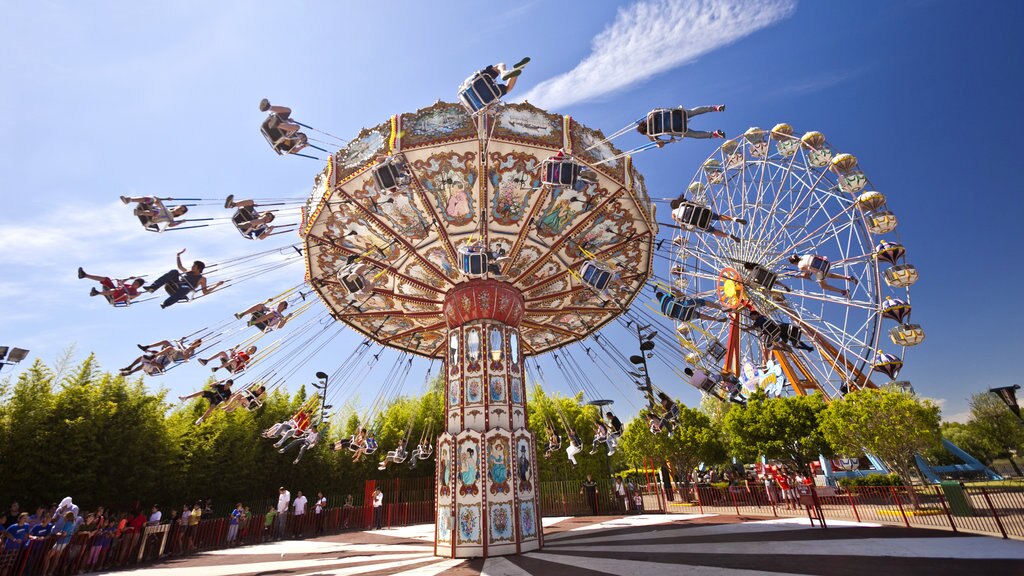 Parque de la Costa showing rides as well as a small group of people