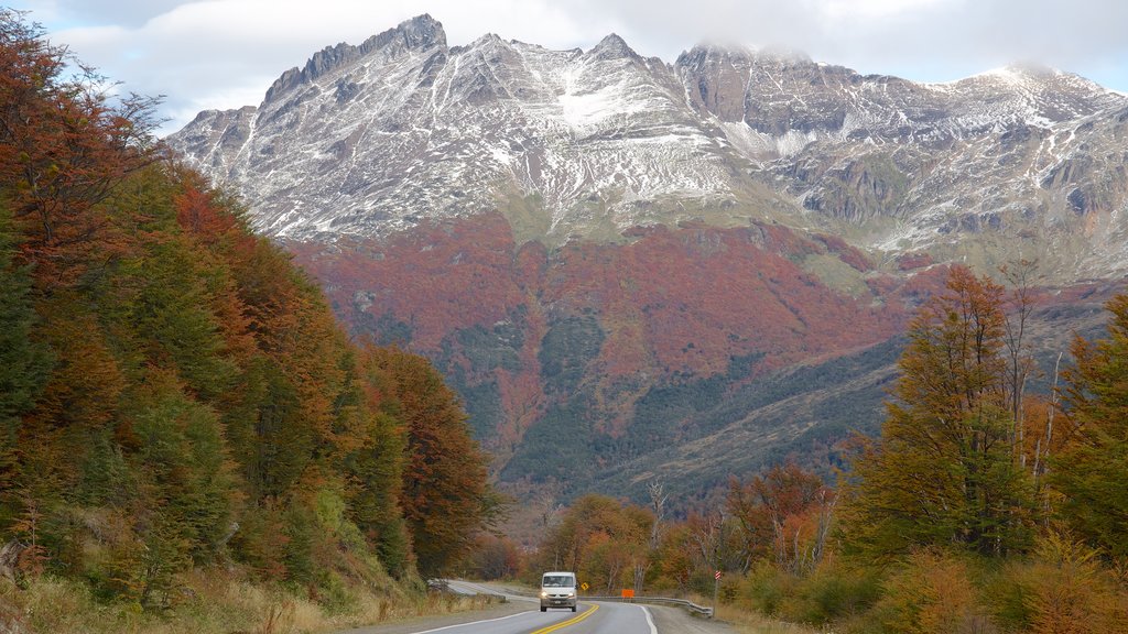 Nationaal park Tierra del Fuego inclusief vredige uitzichten en bergen