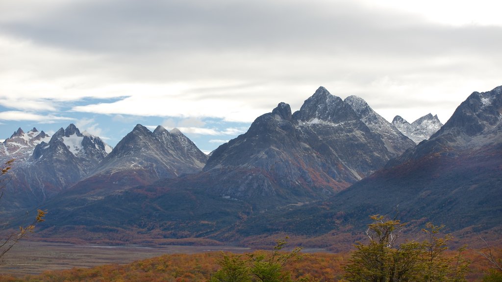 Tierra del Fuego National Park showing mountains and tranquil scenes