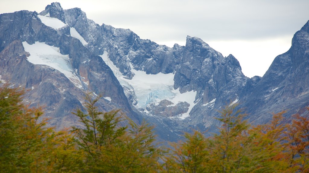 Nationaal park Tierra del Fuego toont bergen, vredige uitzichten en sneeuw