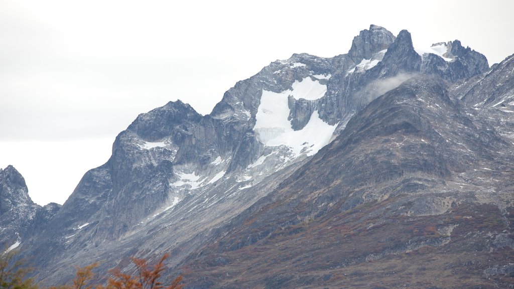 Parc national de la Tierra del Fuego qui includes neige et montagnes